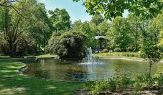 Media picture: Jardin en ville