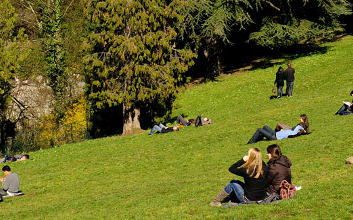 Image média: Consultation Publique sur les Parcs Municipaux