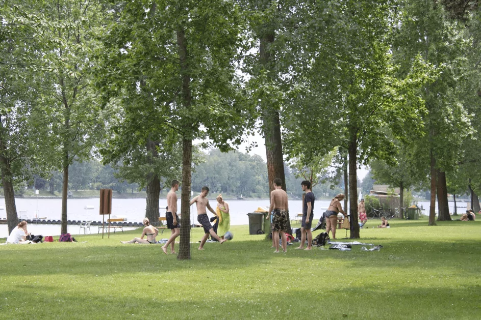 Media picture: Rendre nos espaces publics plus accessibles et conviviaux : une priorité pour notre équipe !